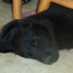 Meet your Posher, Clarissa